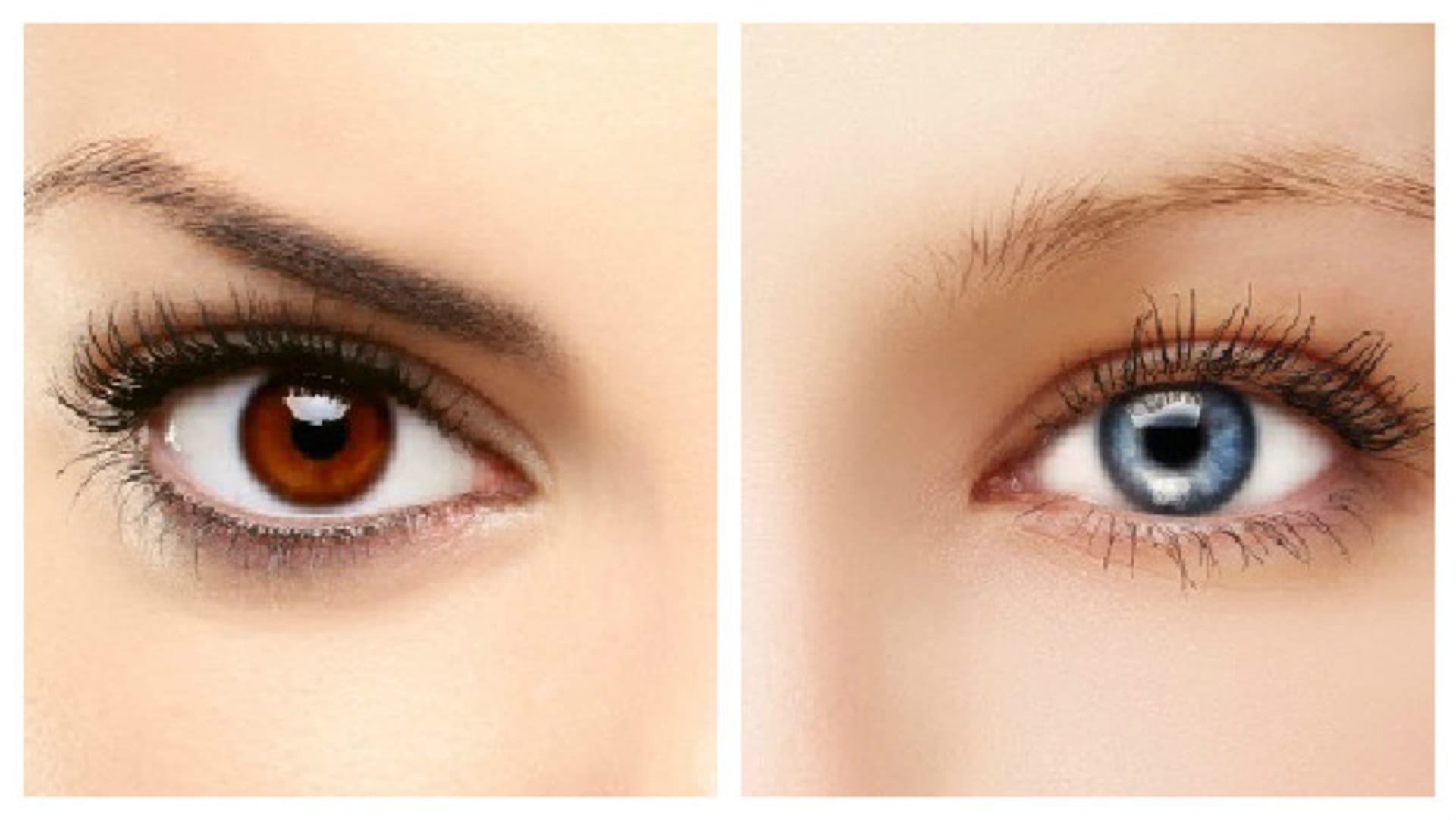 Podle barvy očí lze odhadnout, která nemoc vám hrozí nebo jak dobře snášíte alkohol či bolest