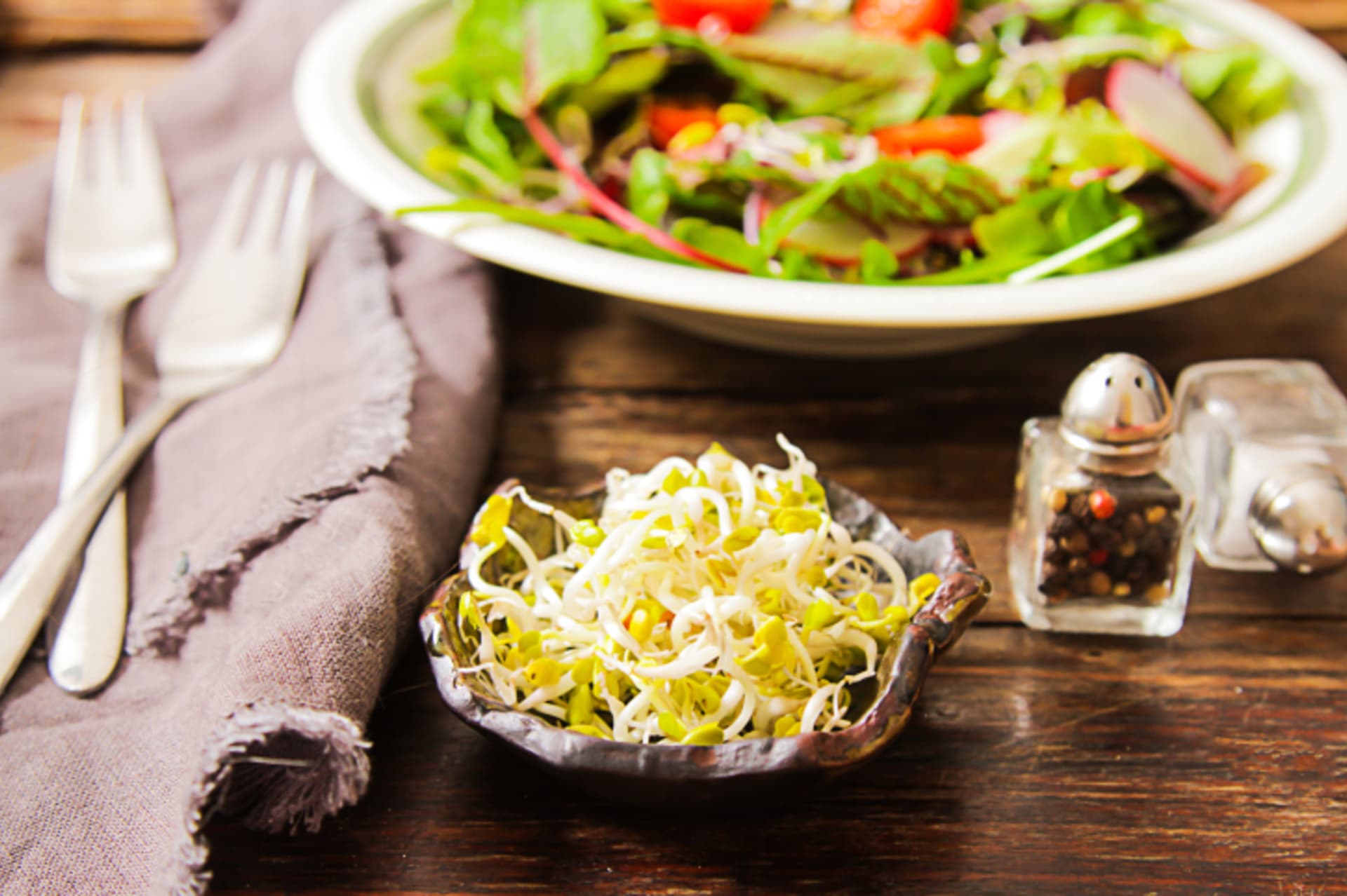 Přidejte je do svého oblíbeného salátu. Bude nejen křupavější, ale i mnohem zdravější.