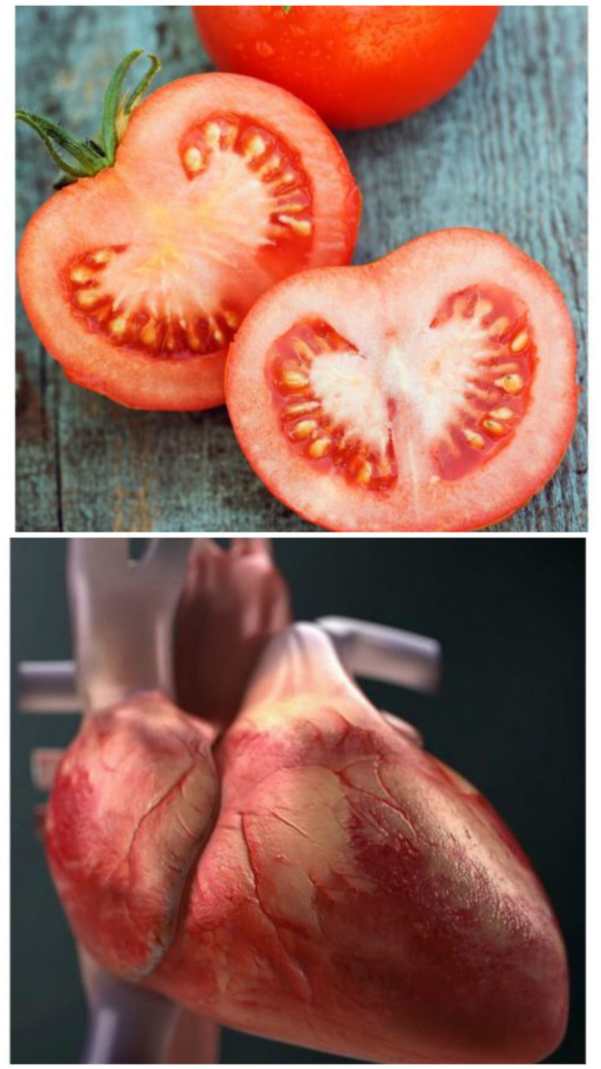 potraviny rajčata