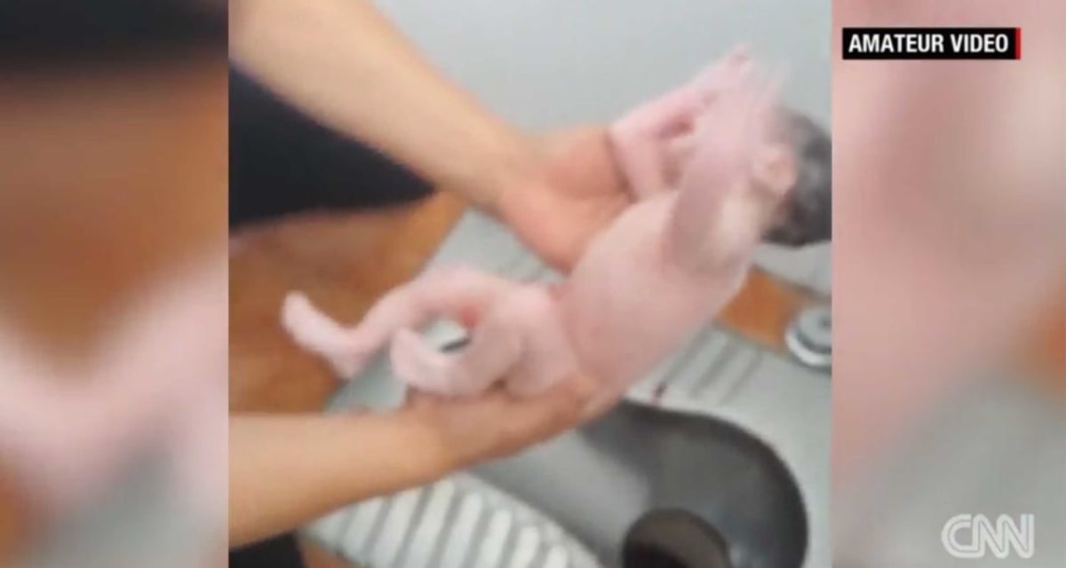 Policista vytáhl novorozence z toalety - Obrázek 1