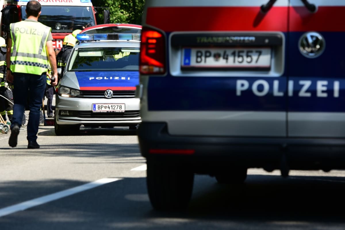 Při čelní srážce vozu, který řídil pětatřicetiletý Čech, s protijedoucím autem se na severu Rakouska zranilo šest lidí, z toho tři děti. 