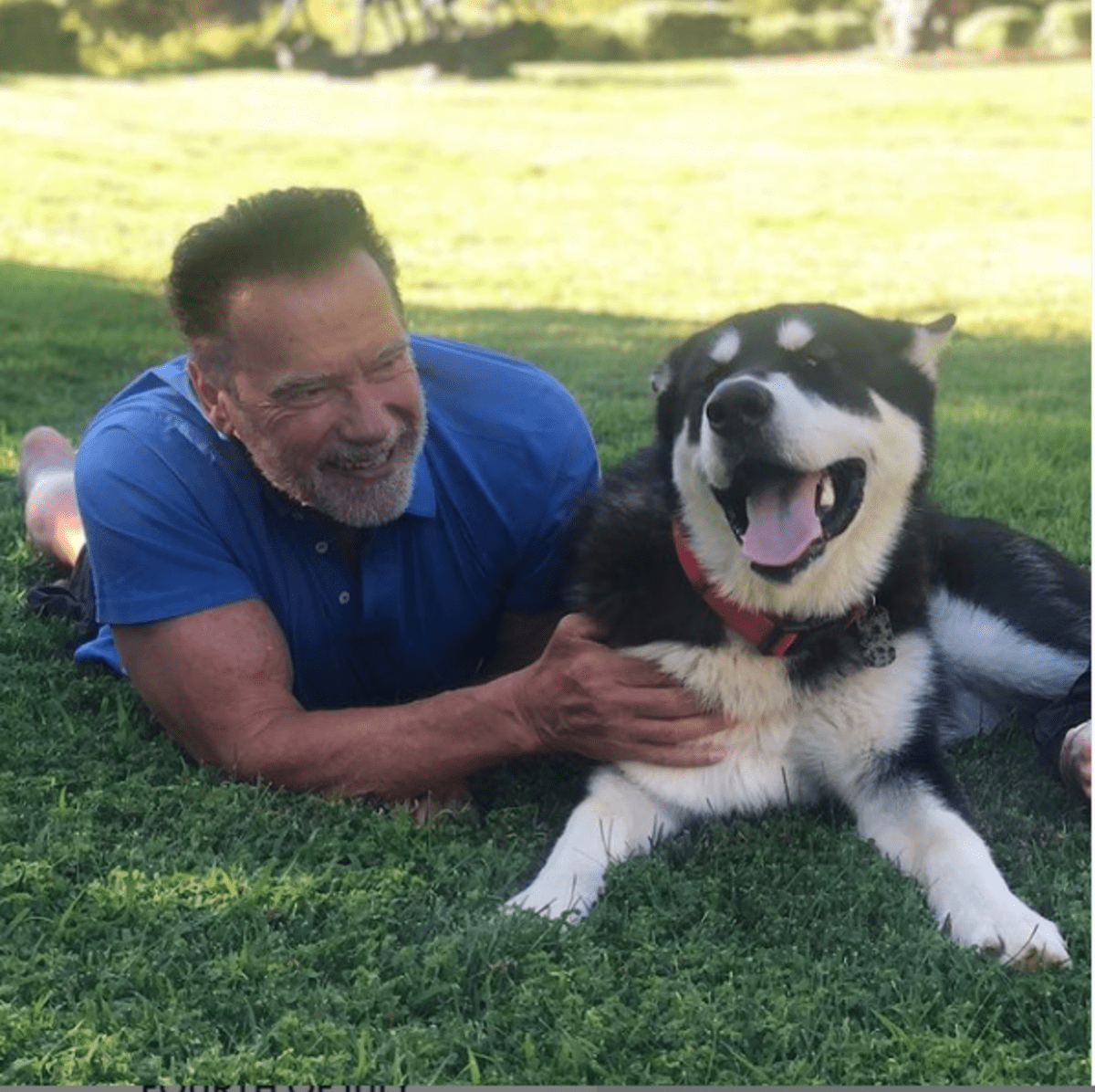 Arnold a jeho adoptovaný pes Dutch