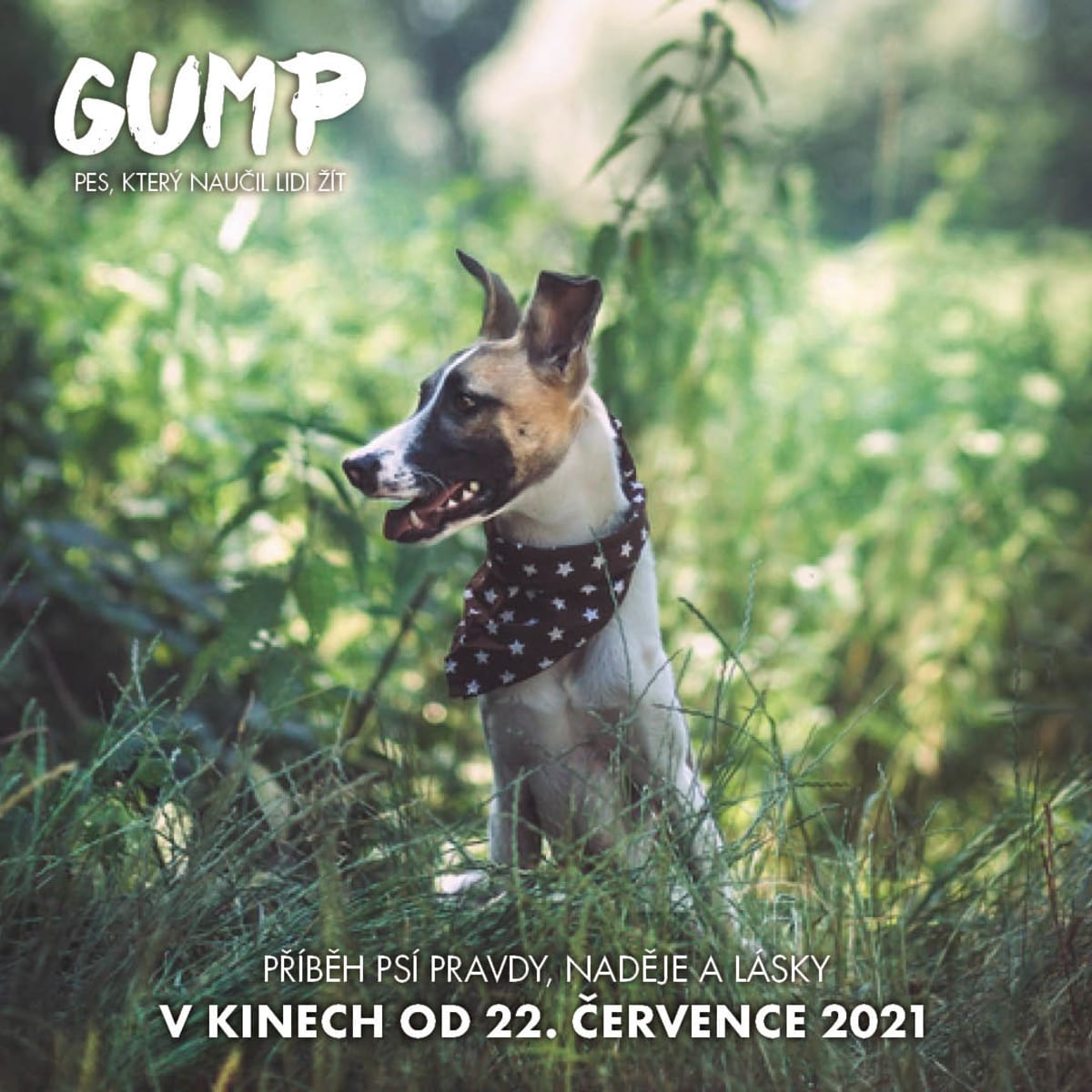 Gump – pes, který naučil lidi žít 16
