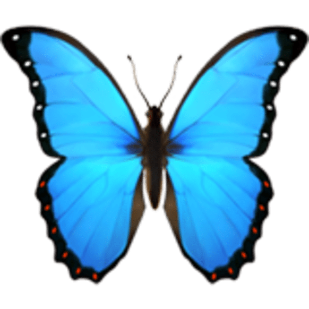 emotikon  motýl