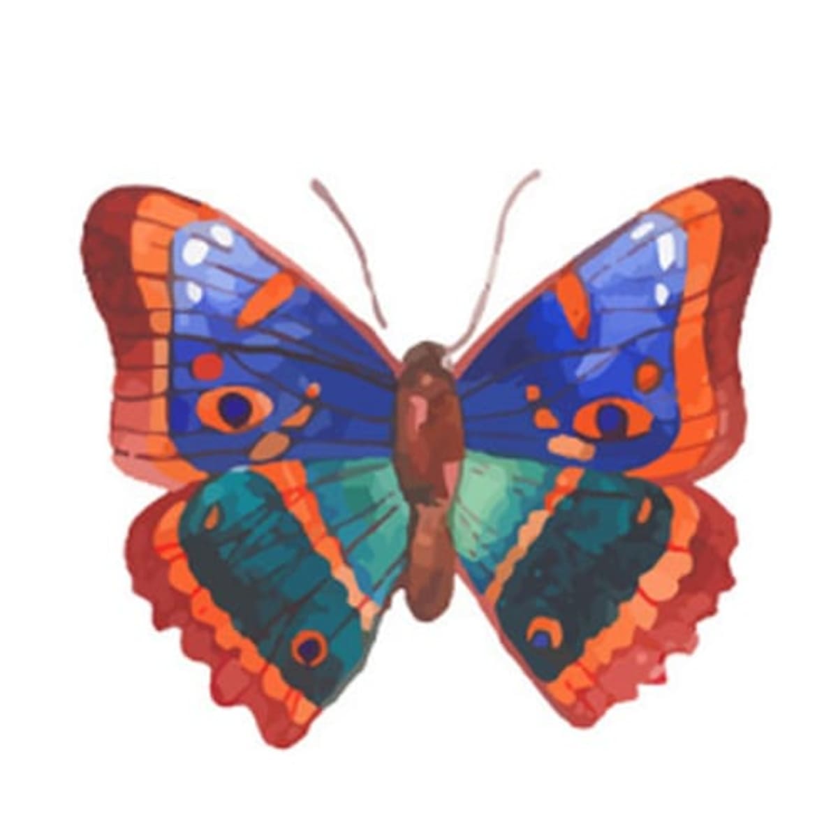 Test osobnosti: Motýli 5