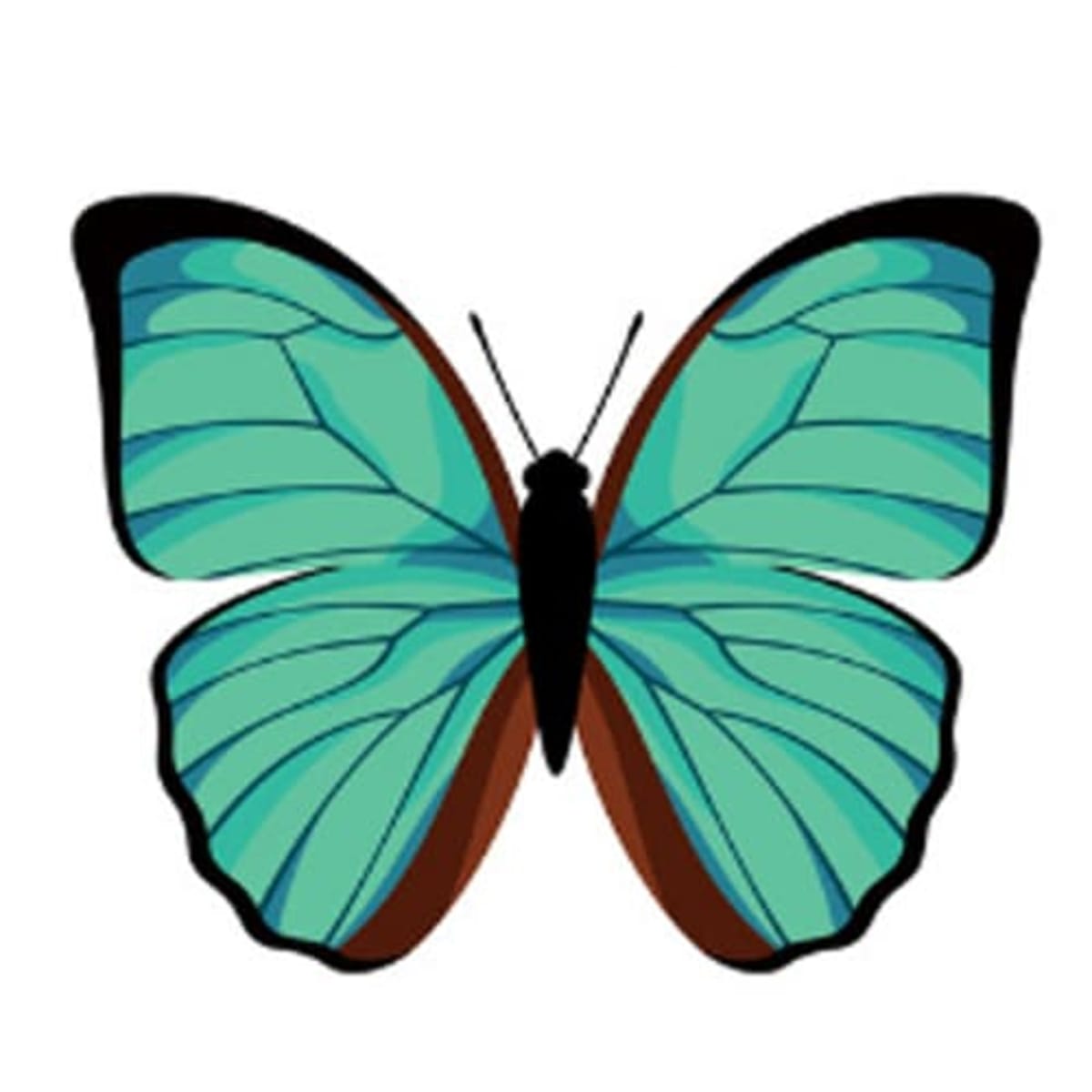 Test osobnosti: Motýli 7