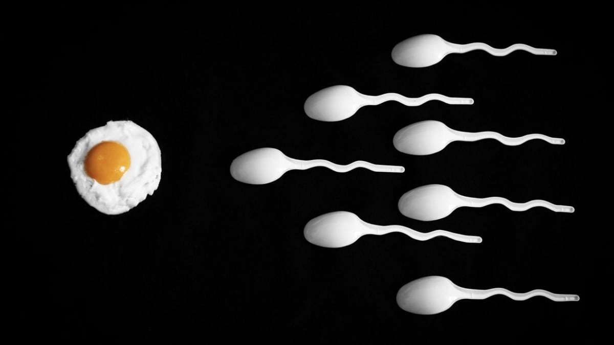 Mužská spermie: 10 zajímavostí, které jste o této výjimečné buňce ještě nevěděli