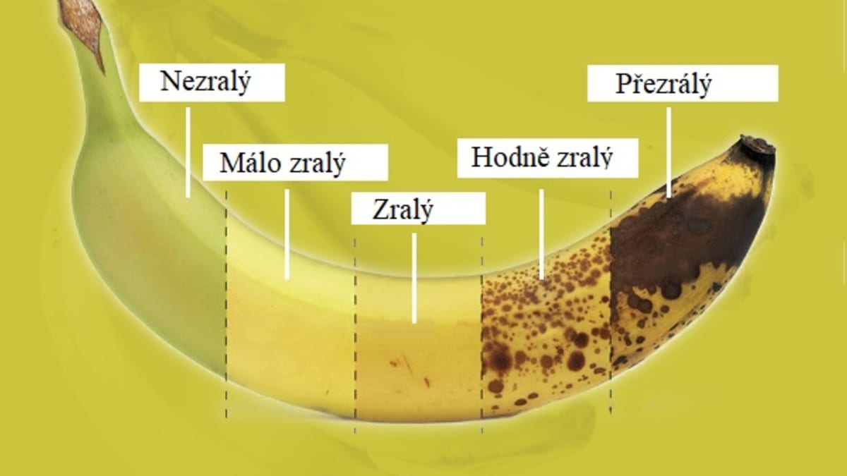 Stadia zralosti banánů