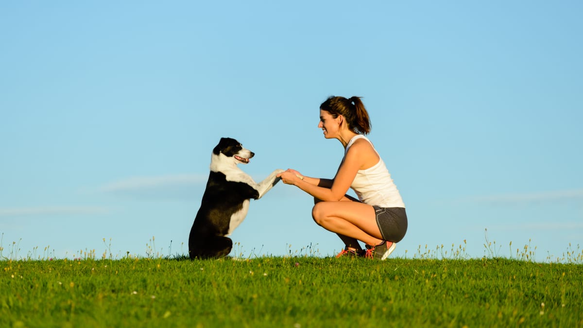 Fit díky chlupatému kamarádovi: 6 tipů, jak trénovat se psem