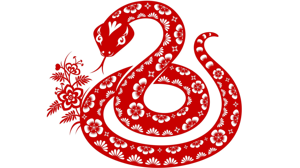 Čínský horoskop - znamení Had