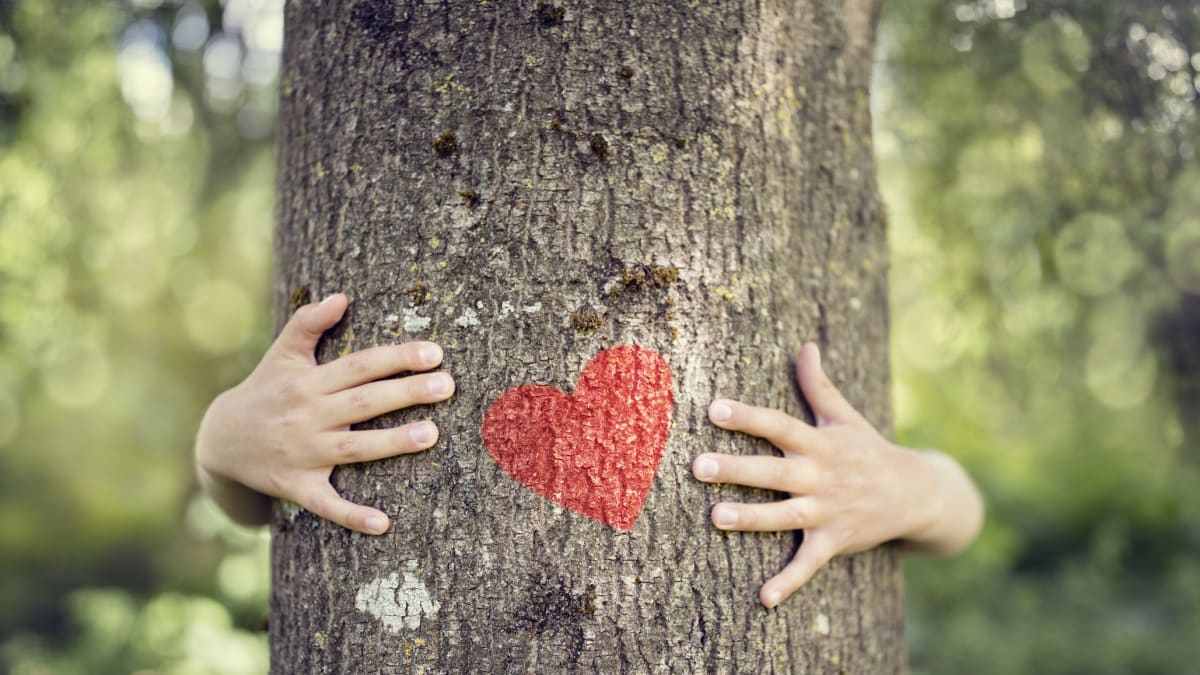Můžete se milovat s partnerem.... i se stromem.