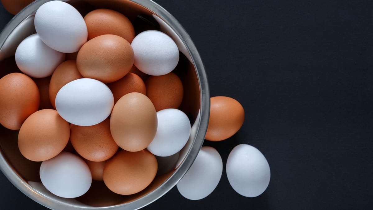 Vyvracíme mýty o vejcích: Je oranžový žloutek kvalitnější a snáší větší slepice větší vejce?