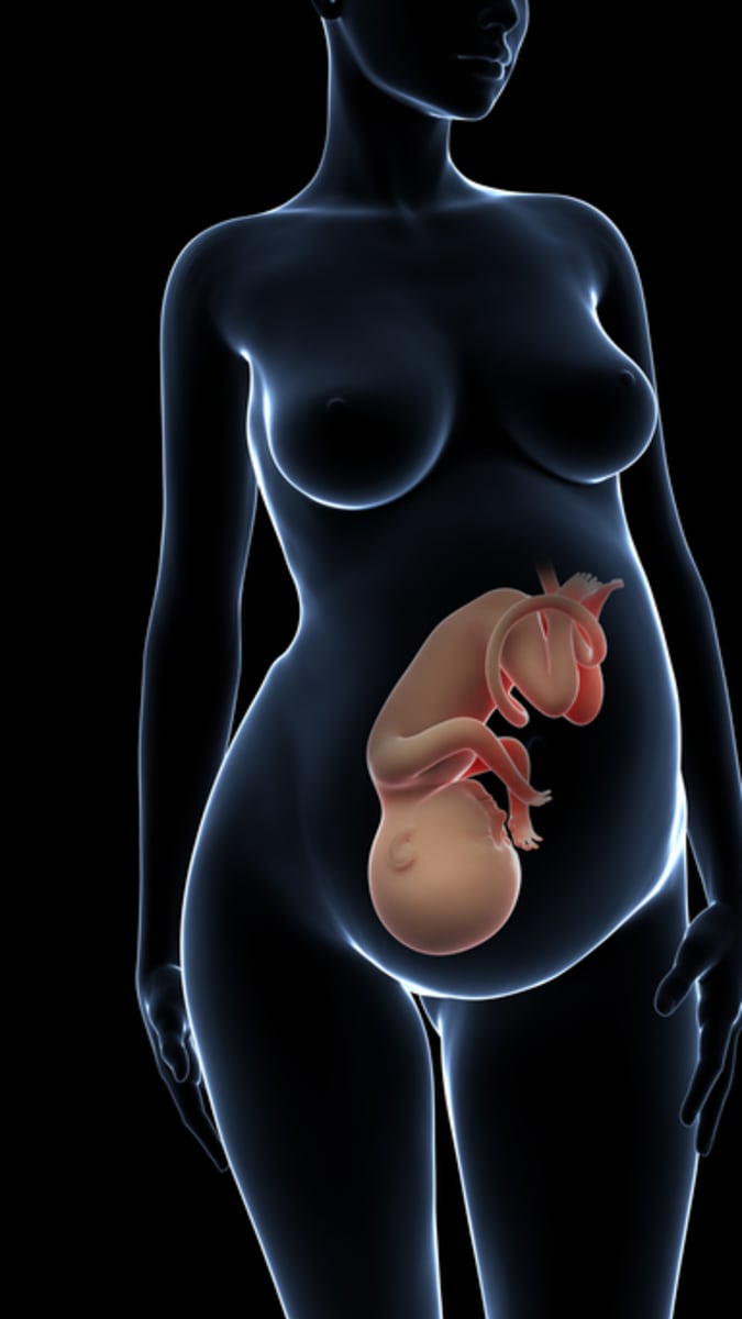 5 osvědčených tipů, jak se zotavit po porodu přírodní cestou placenta