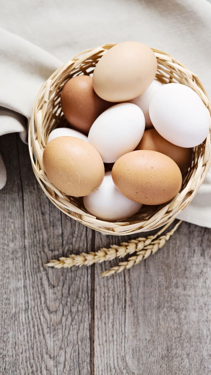 vejce - bílkoviny