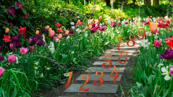 Květen podle numerologie: Vaše měsíční číslo vám ukáže, kterým směrem se vydat