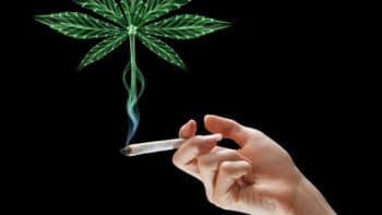 Marihuana: 12 důvodů, proč se jí úplně nevyhýbat