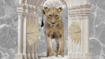 Lev – horoskop na dnešní den
