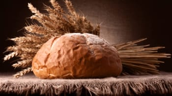 Proč žít bez pšenice: Škodí nám víc, než si myslíme