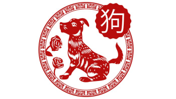 Pes – Roční čínský horoskop (2022)