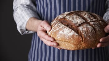 Vše, co potřebujete vědět o chlebu aneb Desatero kvalitního chleba