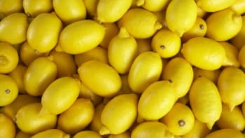 Všestranný citron: Kompletní průvodce, jak z něj vymačkat maximum