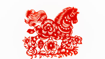 Velký čínský horoskop na rok 2022: KŮŇ