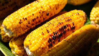 Perfektní grilovaná kukuřice: 4 rady, jak na to