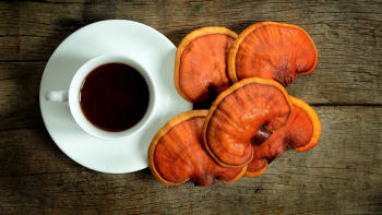 Znáte tyto exotické houby? Reishi, shitake nebo čaga!