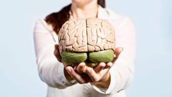 Vyvracíme mýty o zdraví: Pomáhá mozku luštění křížovek a ovlivňuje ho úplněk?