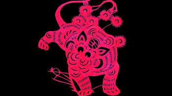 Velký čínský horoskop - znamení Tygra