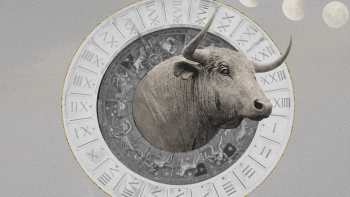 Denní horoskop BÝKA na 11. 12. 2022