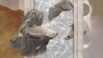 Ryba – horoskop na dnešní den
