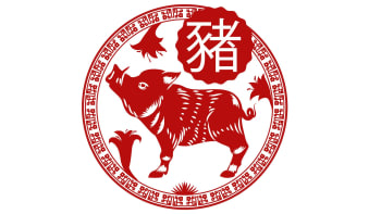 Vepř – Roční čínský horoskop (2022)
