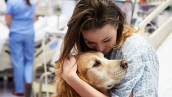 Canisterapie: Léčba psí láskou pomáhá dětem i unaveným dospělým