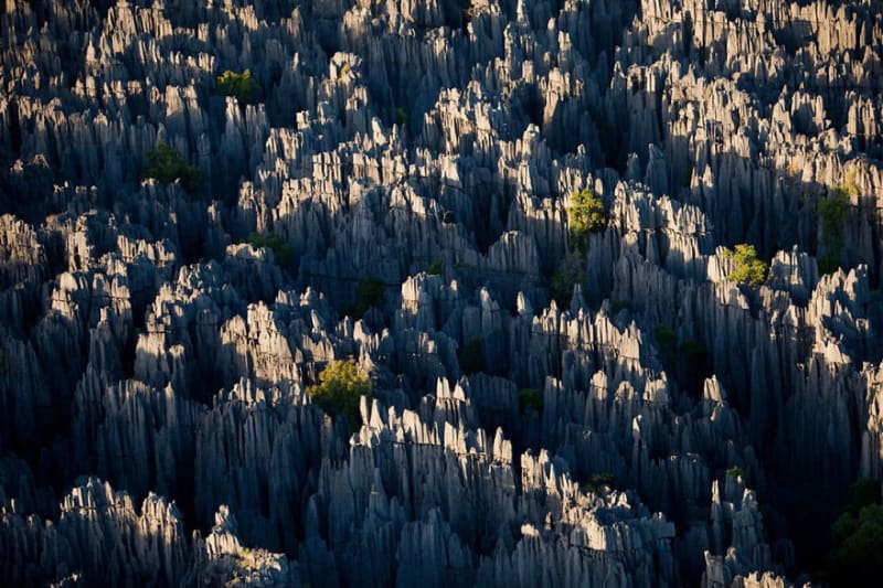 Stone Forest, Madagaskar