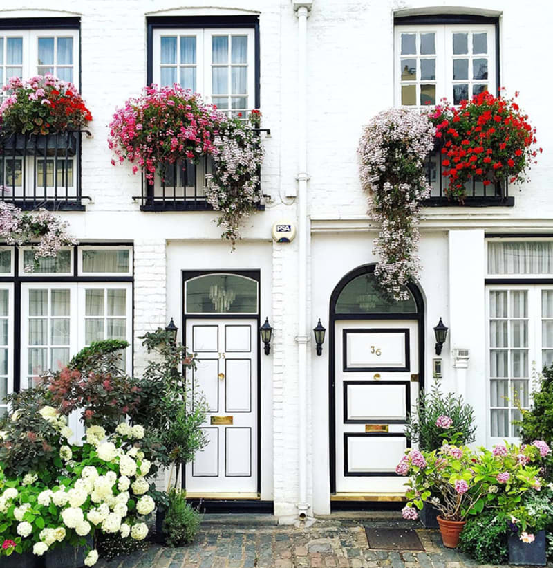 Nejkrásnější rozkvetlé dveře Londýna 7