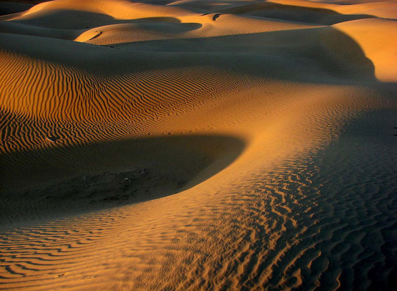 Thárská poušť, Rádžasthán, Indie