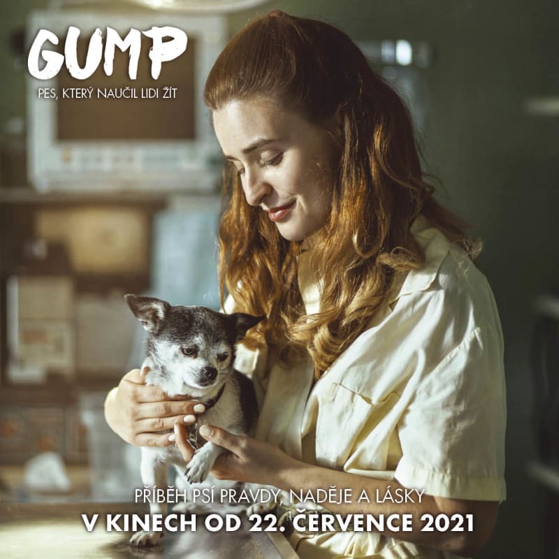 Poeticky natočený příběh toulavého psa Gumpa v režii F. A. Brabce vstupuje do kin 22. července.
