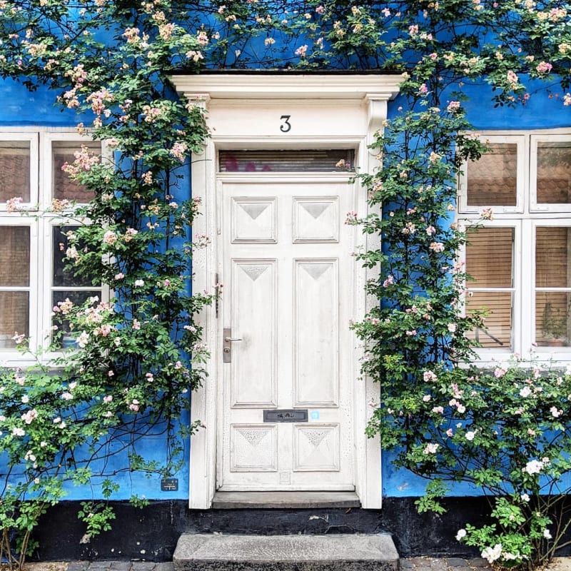 Nejkrásnější rozkvetlé dveře Londýna 9