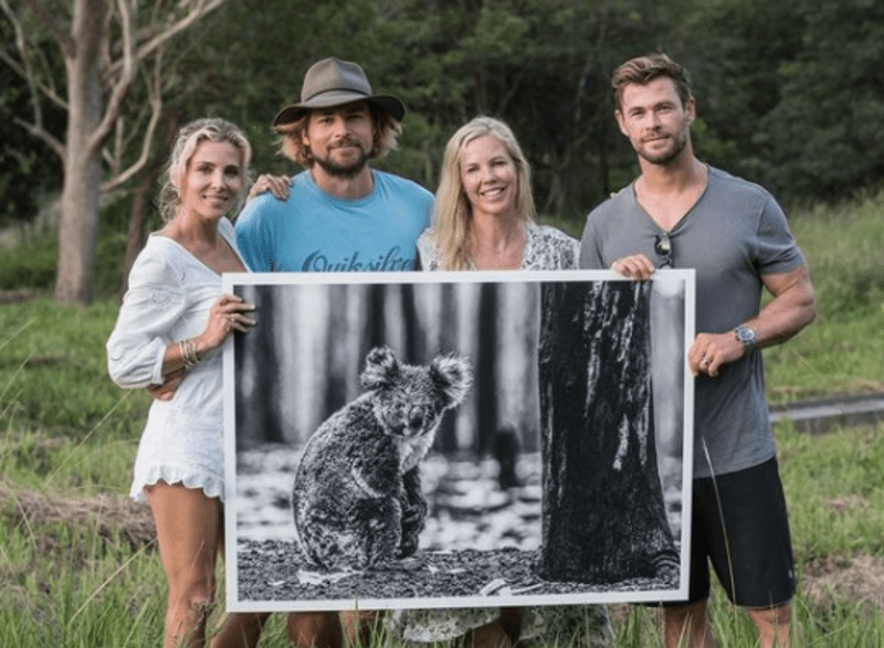 Se ženou podporují organizace na záchranu koal