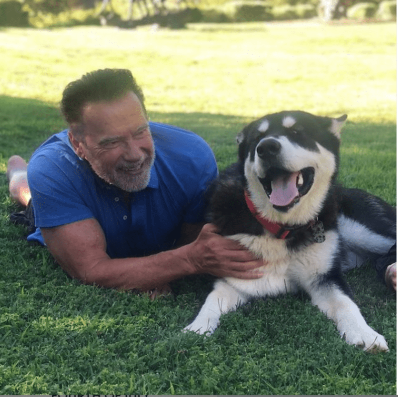 Arnold a jeho adoptovaný pes Dutch
