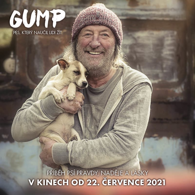 Poeticky natočený příběh toulavého psa Gumpa v režii F. A. Brabce vstupuje do kin 22. července.