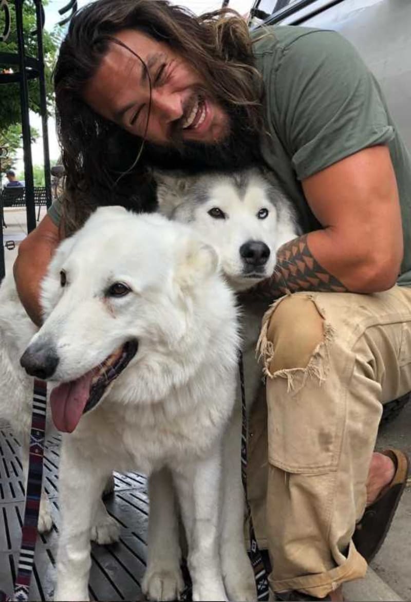 Jason Momoa a jeho psi