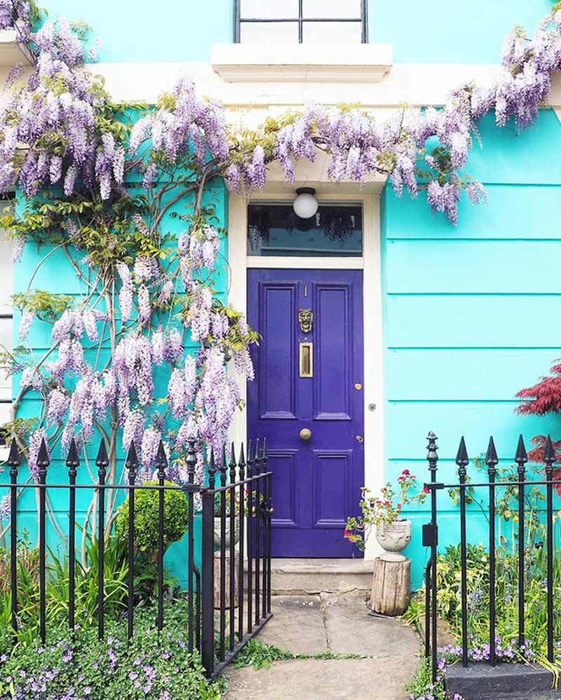 Nejkrásnější rozkvetlé dveře Londýna 5