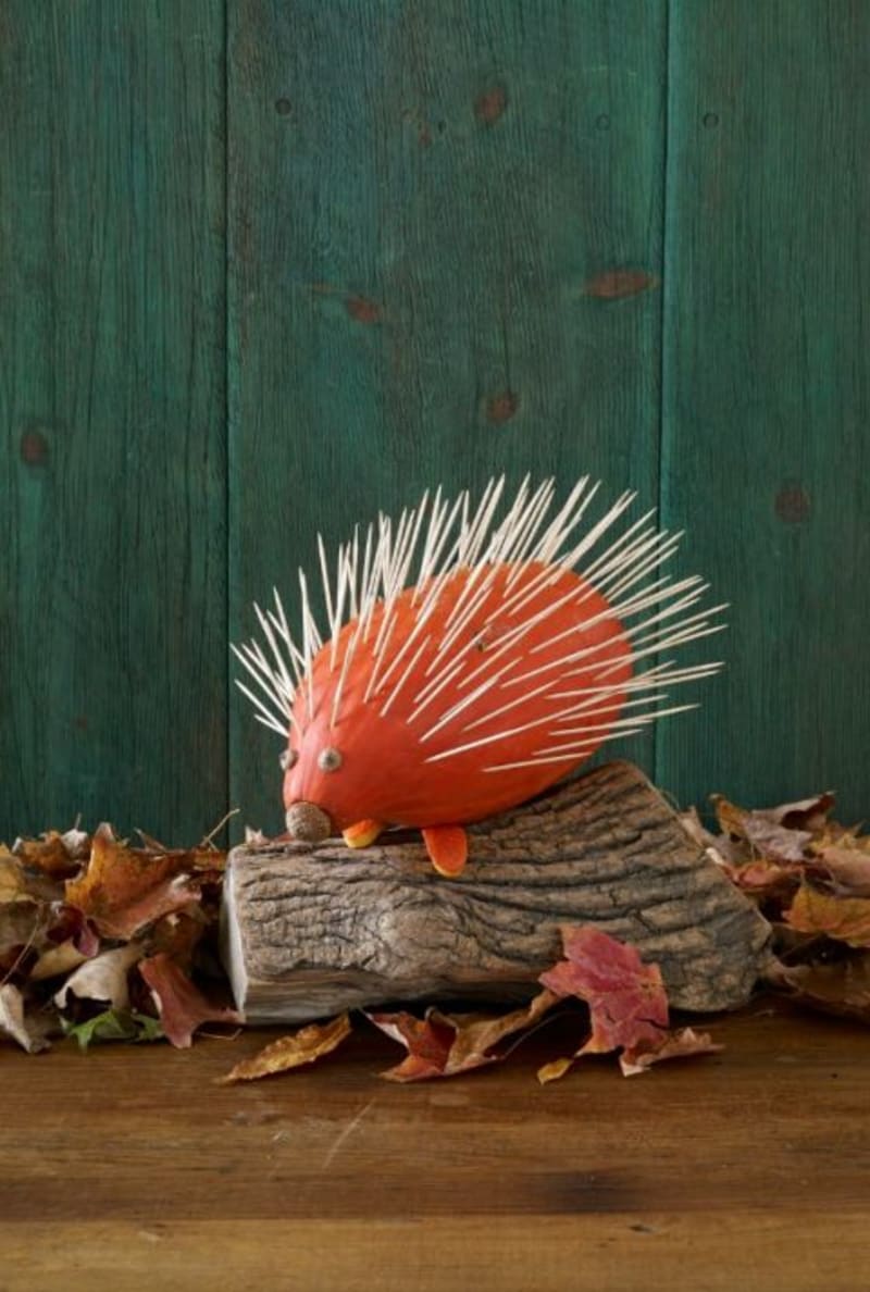 Z podlouhlých dýní se dá vyrobit i krásný podzimní ježek. Potřebujete jen balíček špejlí.