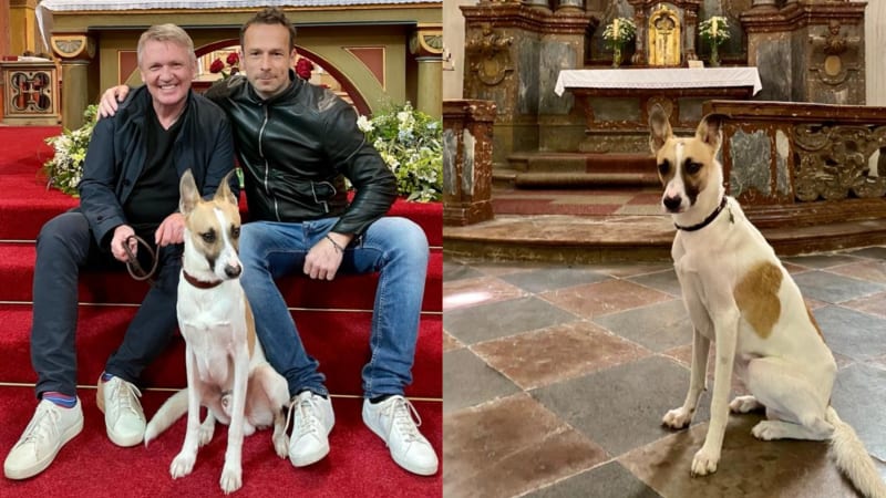 Pes v kostele. Fotky z natáčení filmu rozhořčili polské věřící.