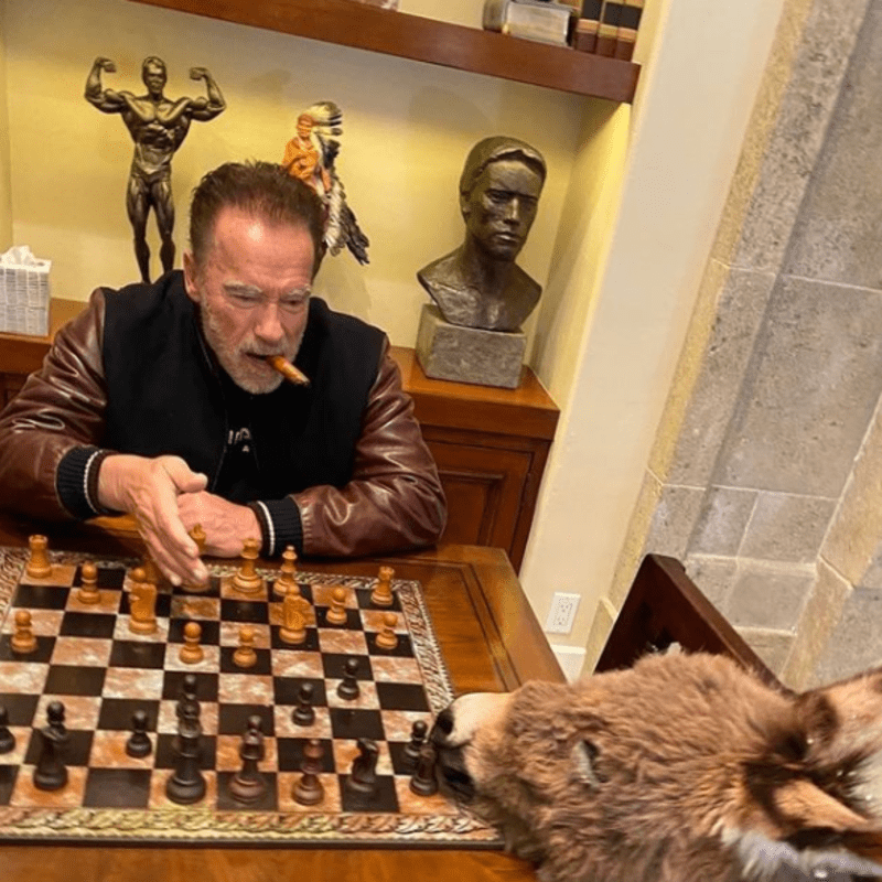Lulu a Arnold hrají šachy