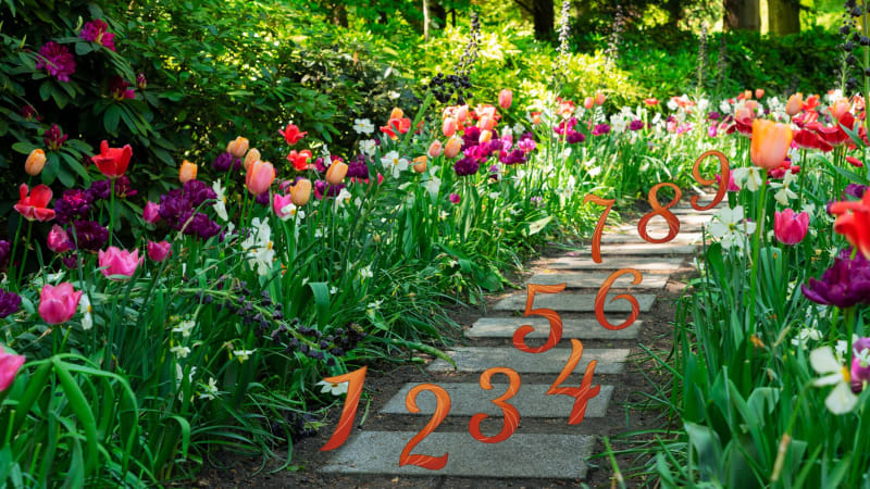 Květen podle numerologie: Vaše měsíční číslo vám ukáže, kterým směrem se vydat
