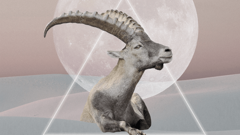 Kozoroh – horoskop na zítřejší den
