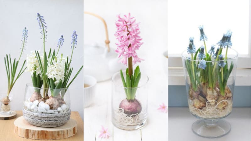 Udělejte si doma jaro: Vyrobte si kvetoucí zahrádku
